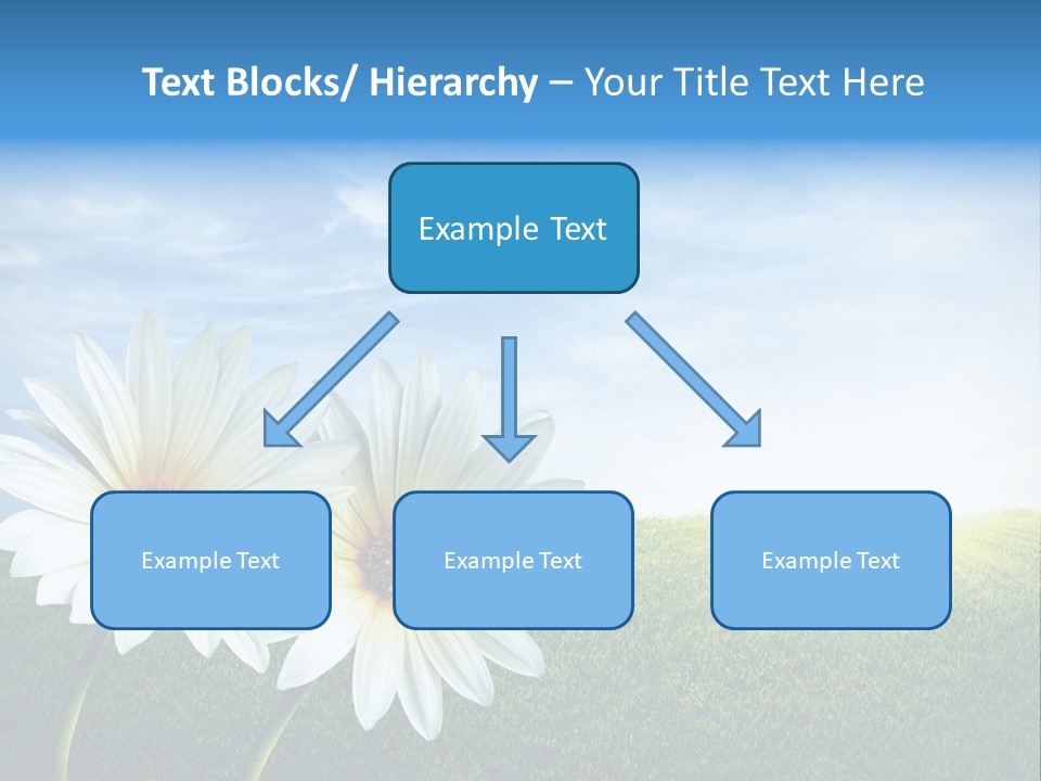 Grass Blue Lawn PowerPoint Template
