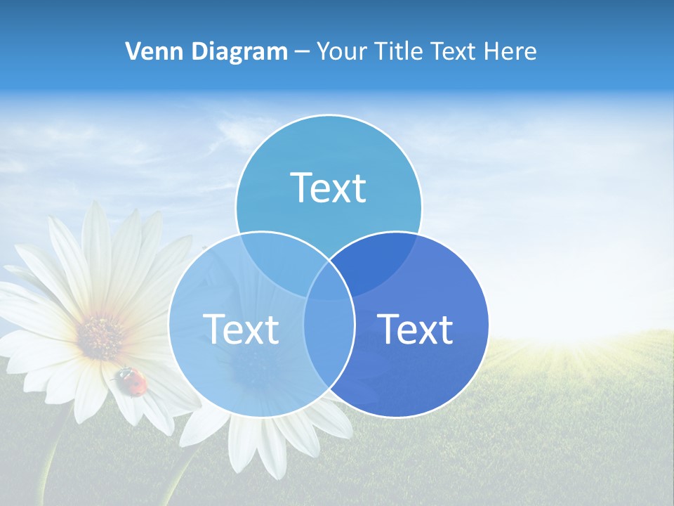 Grass Blue Lawn PowerPoint Template