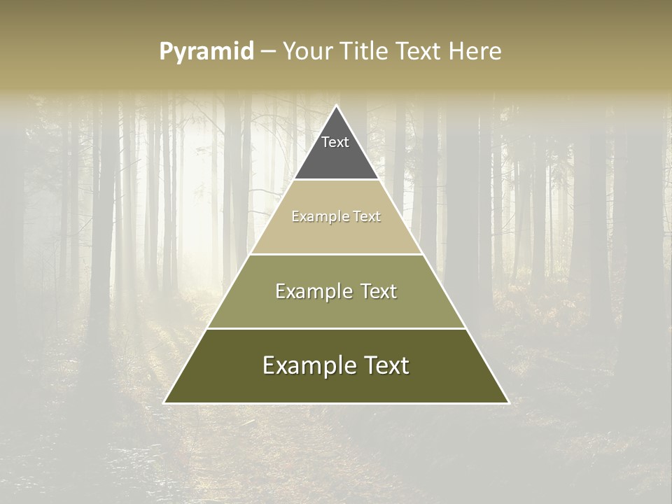 Sunshine Colors Peaceful PowerPoint Template