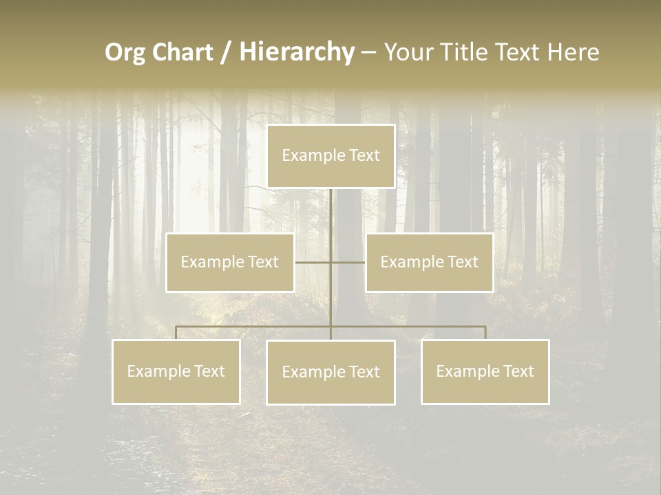 Sunshine Colors Peaceful PowerPoint Template
