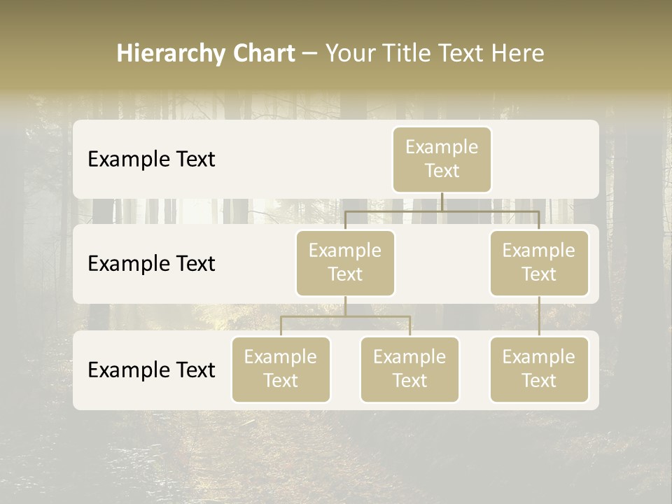 Sunshine Colors Peaceful PowerPoint Template