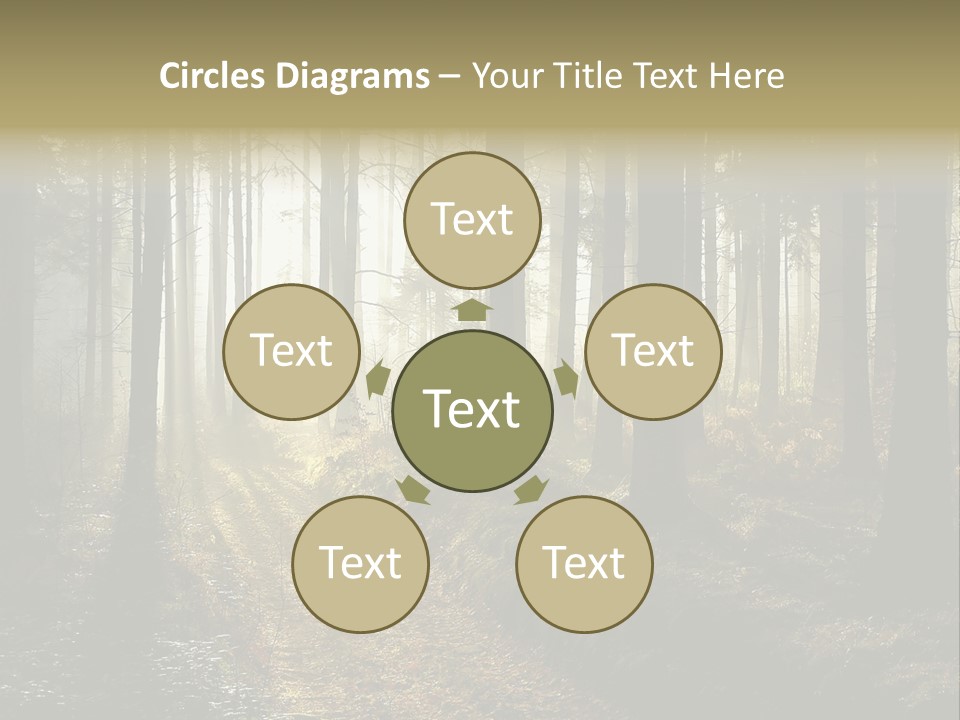 Sunshine Colors Peaceful PowerPoint Template