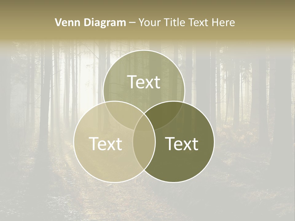 Sunshine Colors Peaceful PowerPoint Template