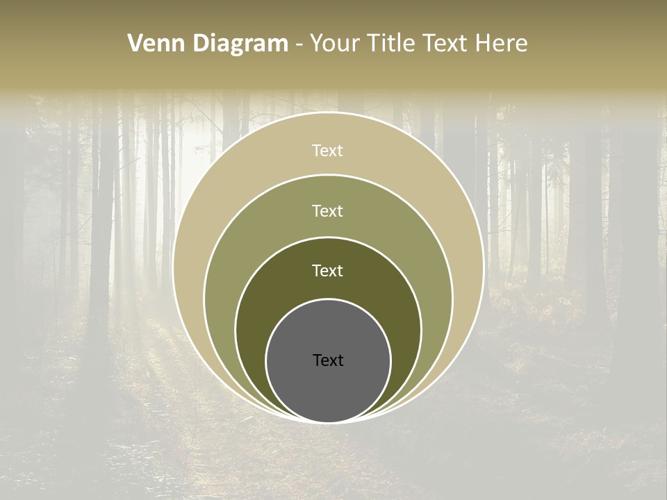 Sunshine Colors Peaceful PowerPoint Template
