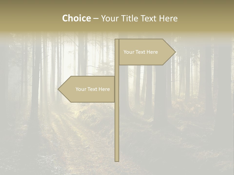 Sunshine Colors Peaceful PowerPoint Template