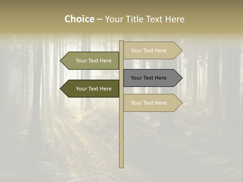 Sunshine Colors Peaceful PowerPoint Template