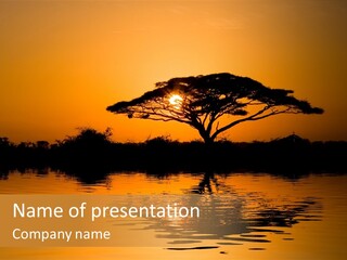 Sun Tree Relaxing PowerPoint Template