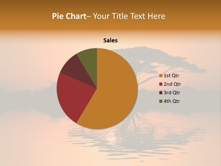 Sun Tree Relaxing PowerPoint Template