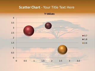 Sun Tree Relaxing PowerPoint Template