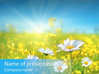 Land Cloud Horizon PowerPoint Template