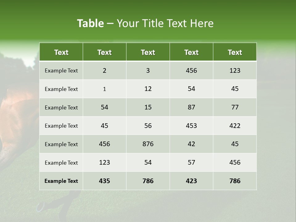 Competition Gambling Colors PowerPoint Template