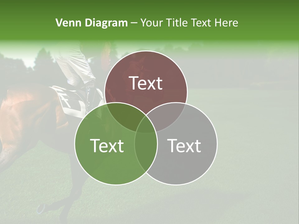 Competition Gambling Colors PowerPoint Template