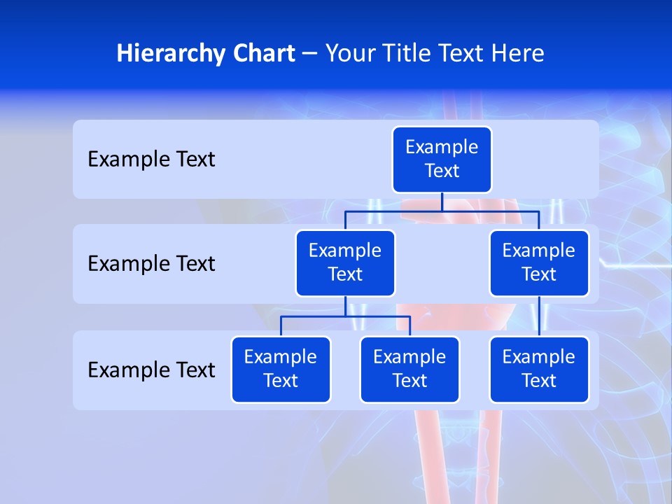 Science Ribs Internal PowerPoint Template