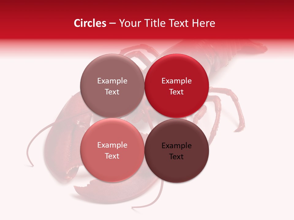 Isolated Red Cook PowerPoint Template