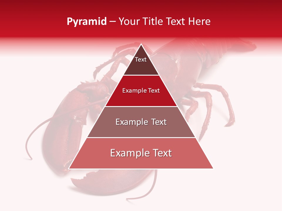 Isolated Red Cook PowerPoint Template