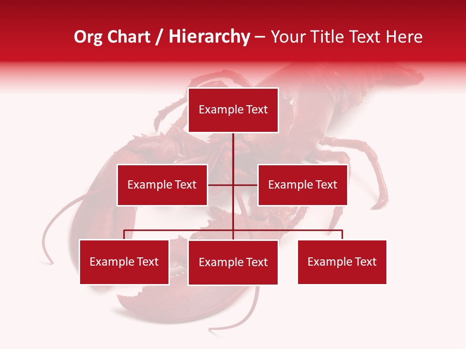 Isolated Red Cook PowerPoint Template