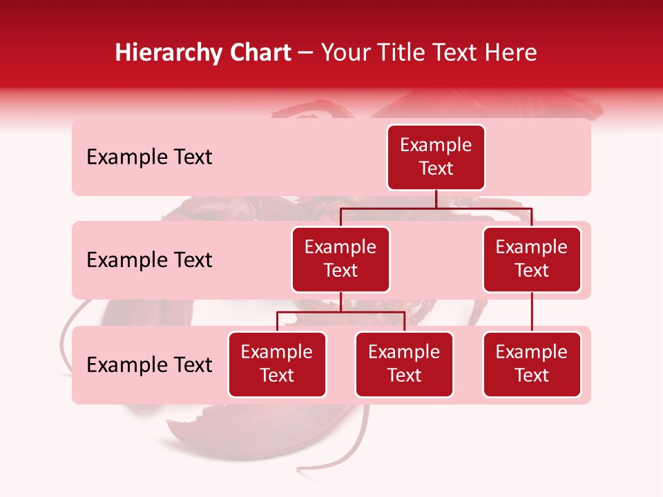 Isolated Red Cook PowerPoint Template