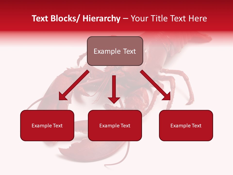 Isolated Red Cook PowerPoint Template