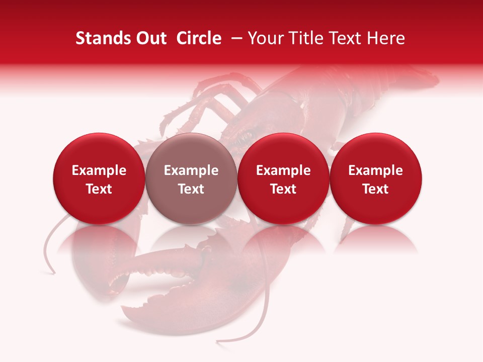 Isolated Red Cook PowerPoint Template