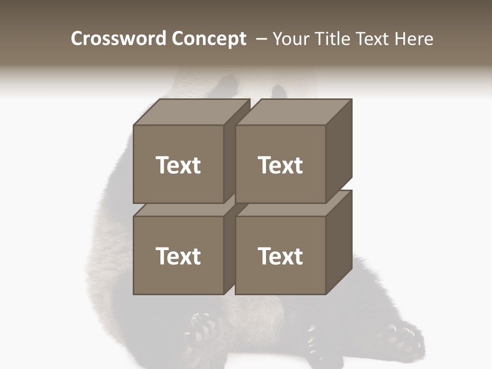 Animal Ursidae Black And White PowerPoint Template