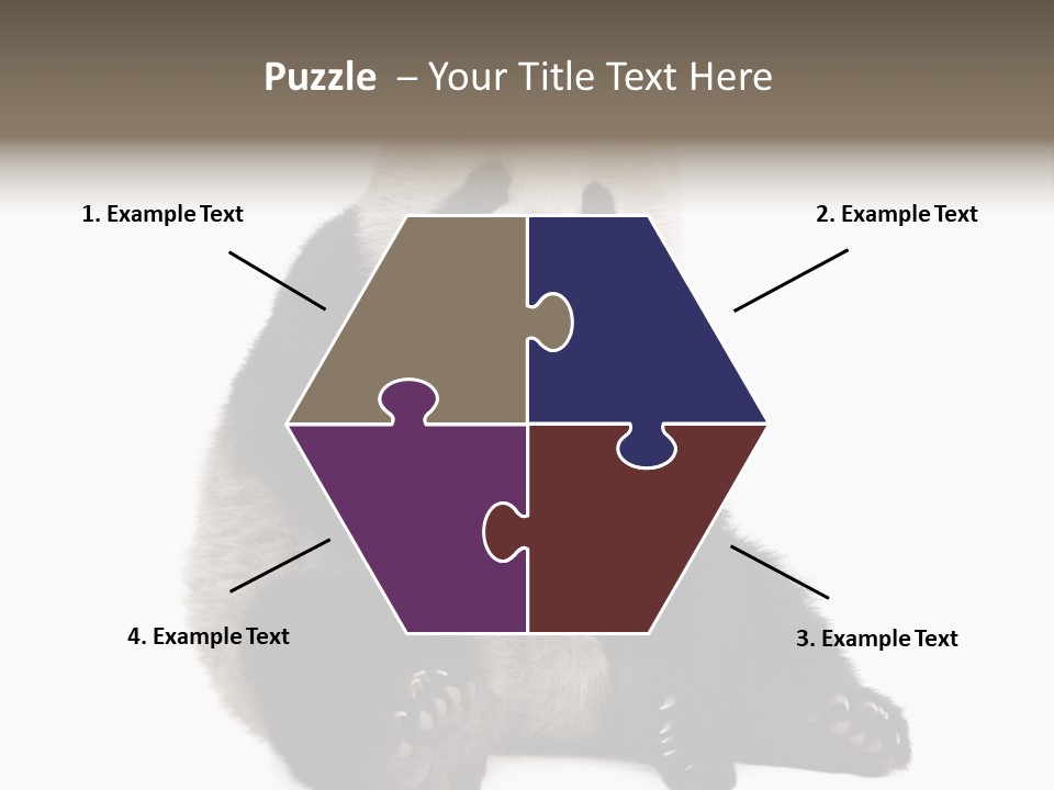 Animal Ursidae Black And White PowerPoint Template