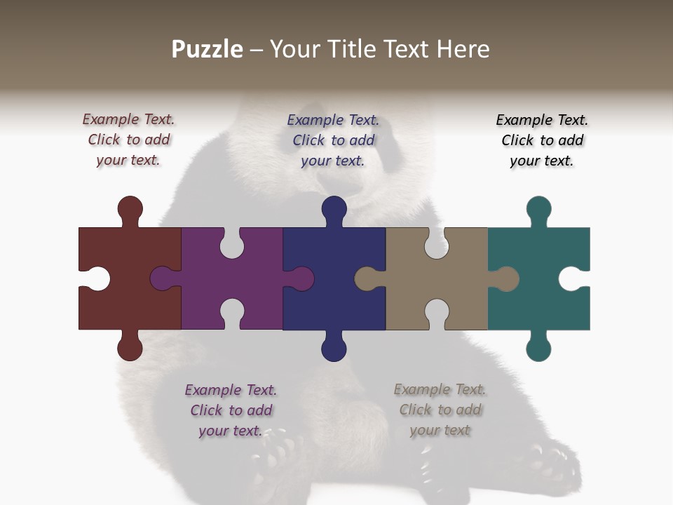 Animal Ursidae Black And White PowerPoint Template