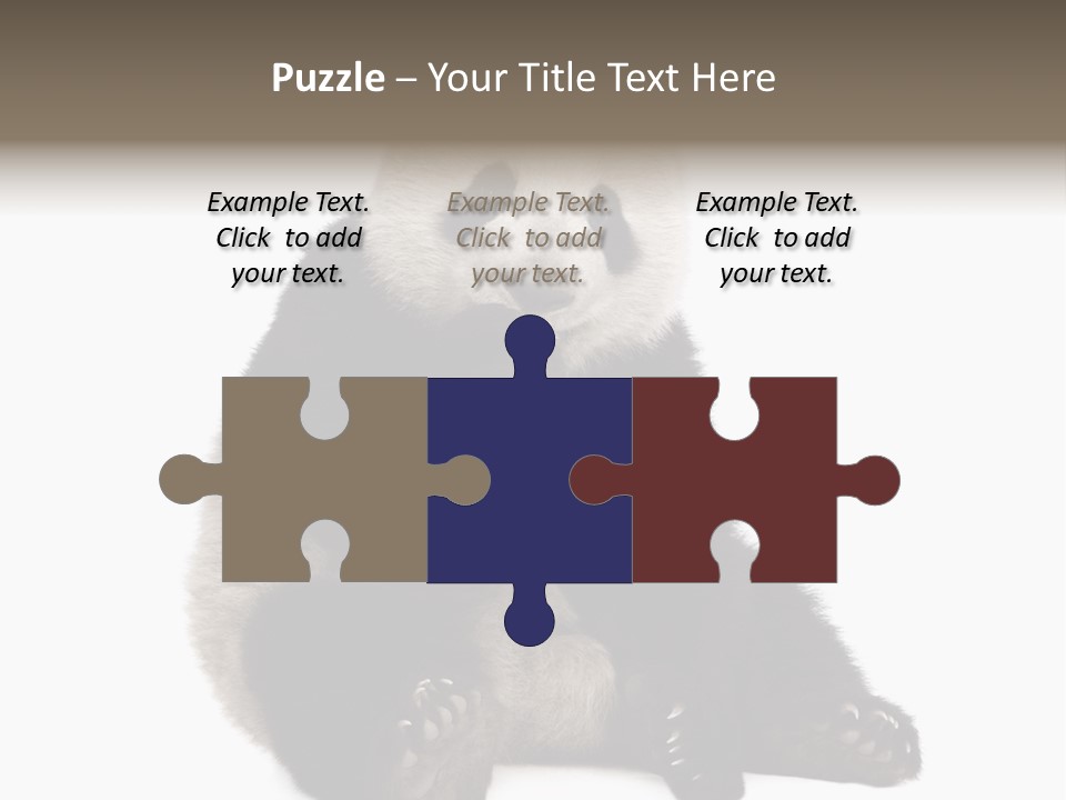 Animal Ursidae Black And White PowerPoint Template