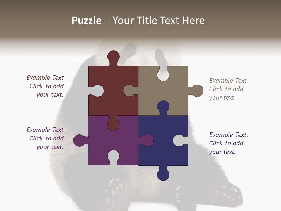 Animal Ursidae Black And White PowerPoint Template