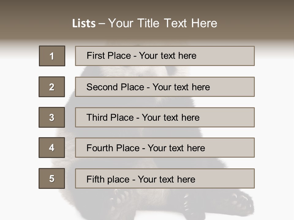 Animal Ursidae Black And White PowerPoint Template