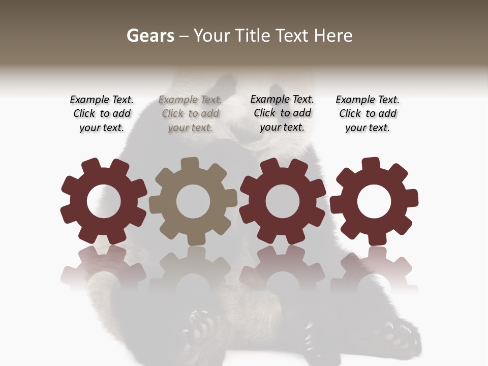 Animal Ursidae Black And White PowerPoint Template