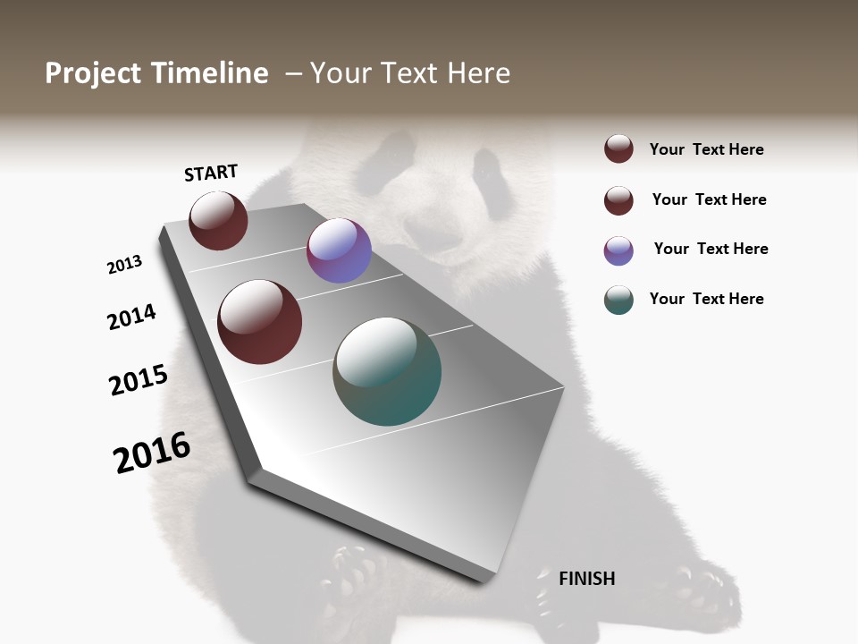 Animal Ursidae Black And White PowerPoint Template