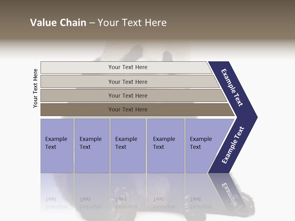 Animal Ursidae Black And White PowerPoint Template