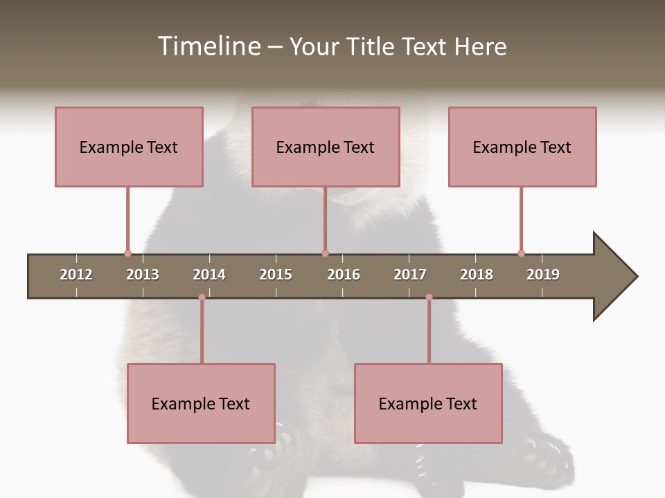 Animal Ursidae Black And White PowerPoint Template