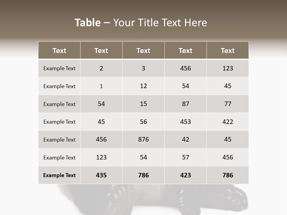 Animal Ursidae Black And White PowerPoint Template