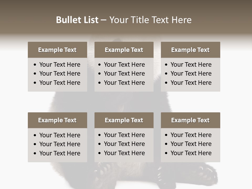 Animal Ursidae Black And White PowerPoint Template