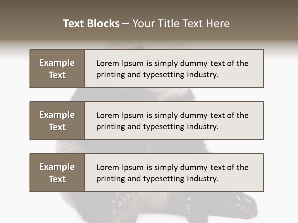 Animal Ursidae Black And White PowerPoint Template