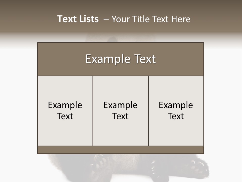 Animal Ursidae Black And White PowerPoint Template