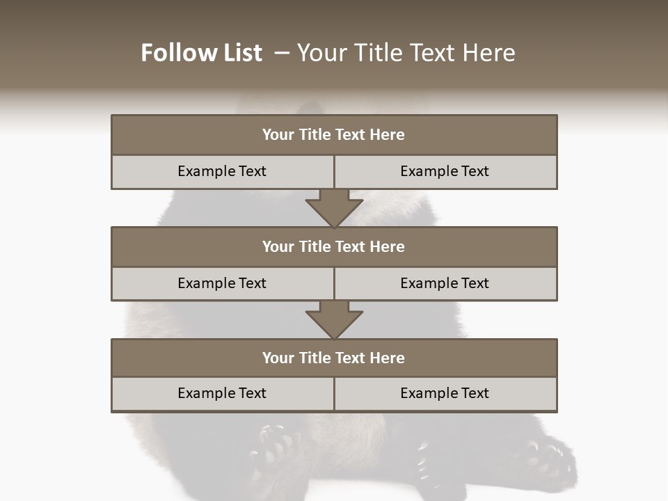 Animal Ursidae Black And White PowerPoint Template