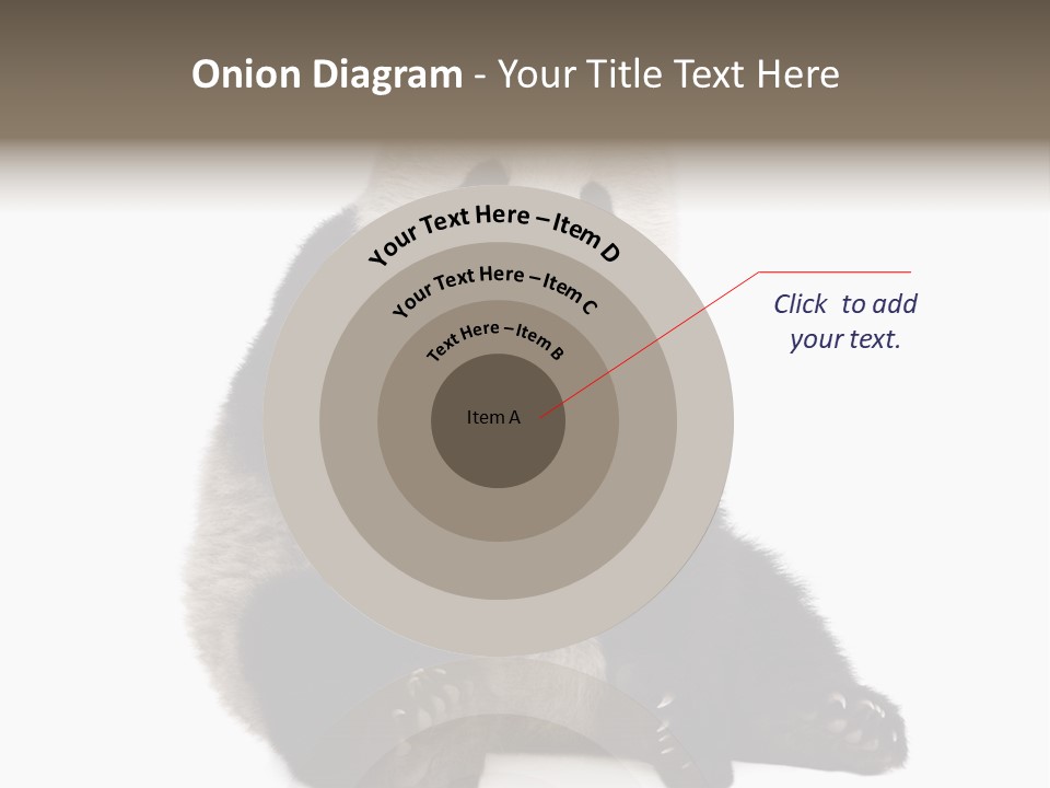 Animal Ursidae Black And White PowerPoint Template