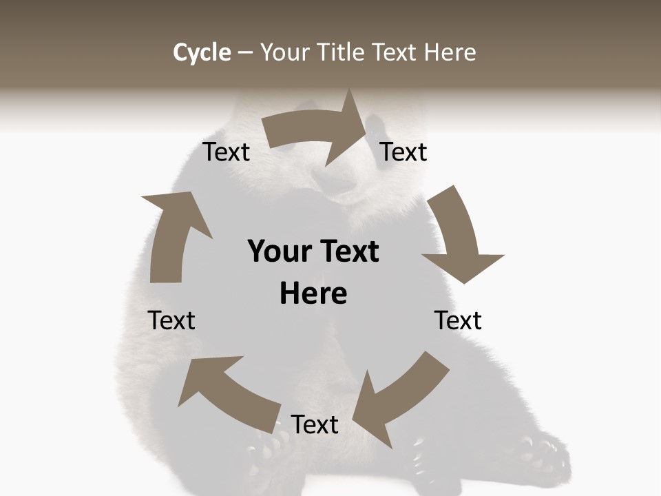 Animal Ursidae Black And White PowerPoint Template