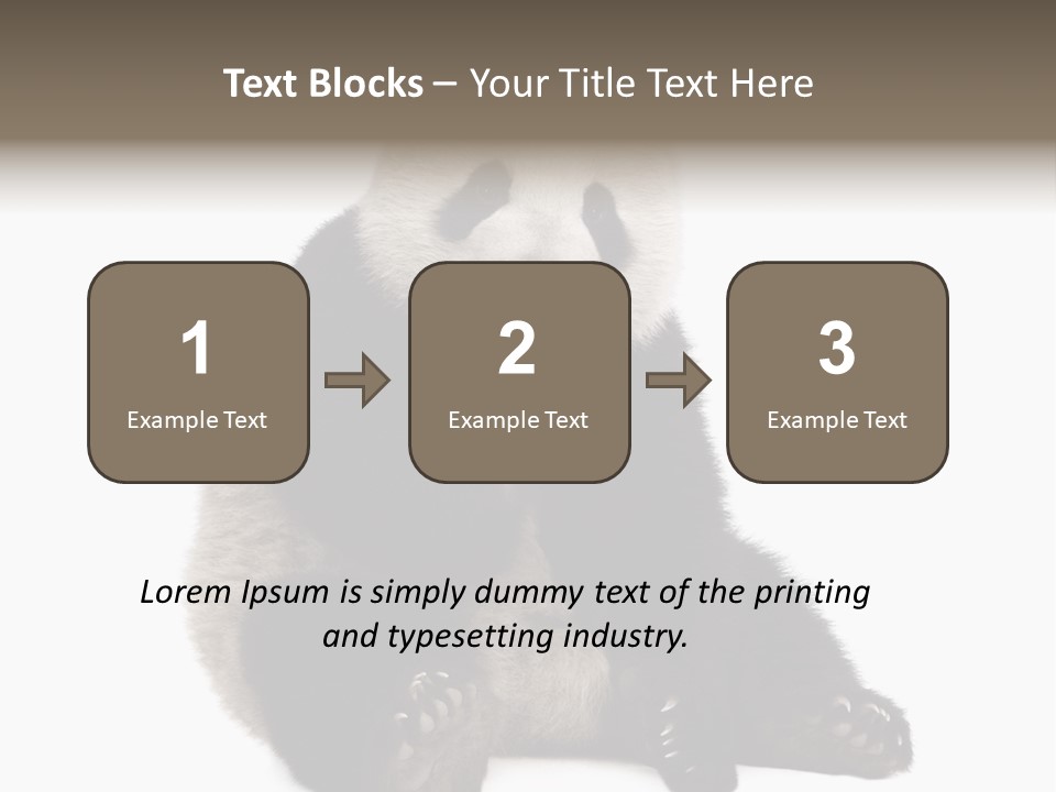 Animal Ursidae Black And White PowerPoint Template