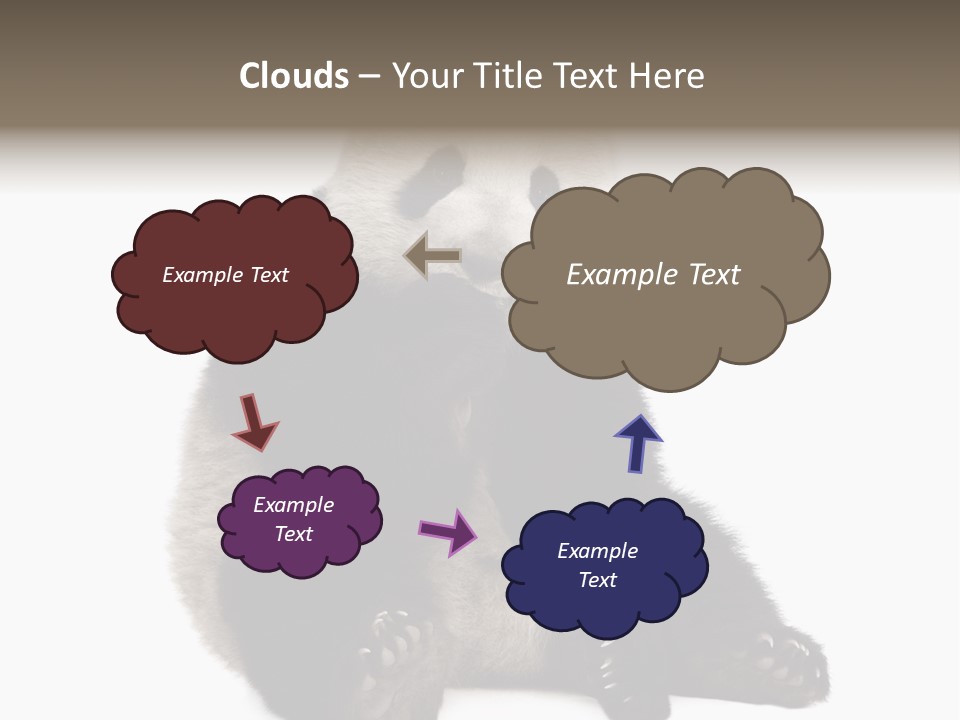 Animal Ursidae Black And White PowerPoint Template