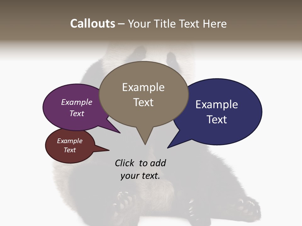 Animal Ursidae Black And White PowerPoint Template