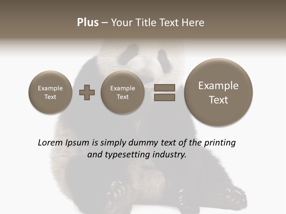 Animal Ursidae Black And White PowerPoint Template