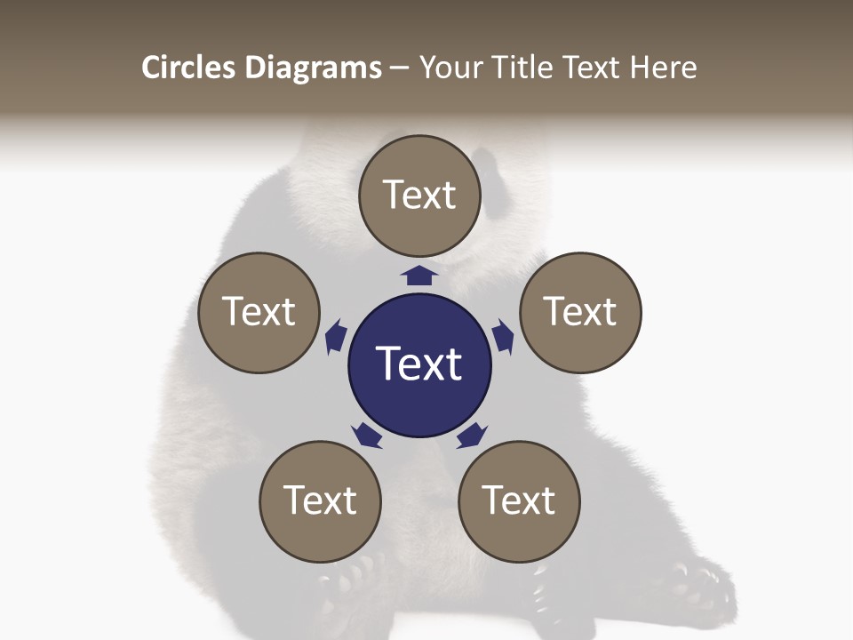 Animal Ursidae Black And White PowerPoint Template