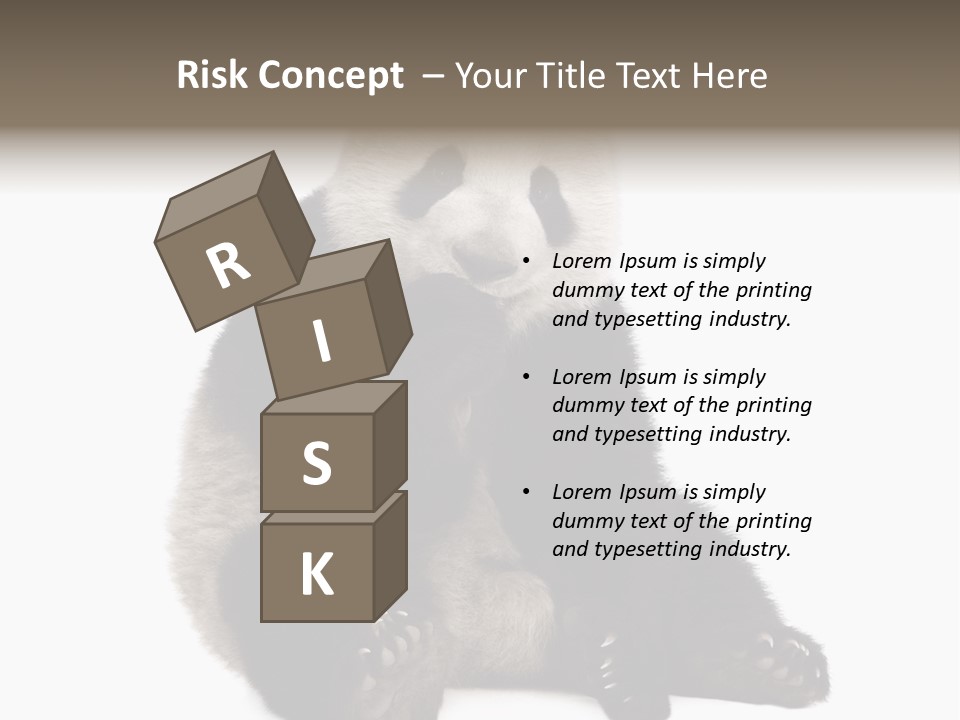 Animal Ursidae Black And White PowerPoint Template