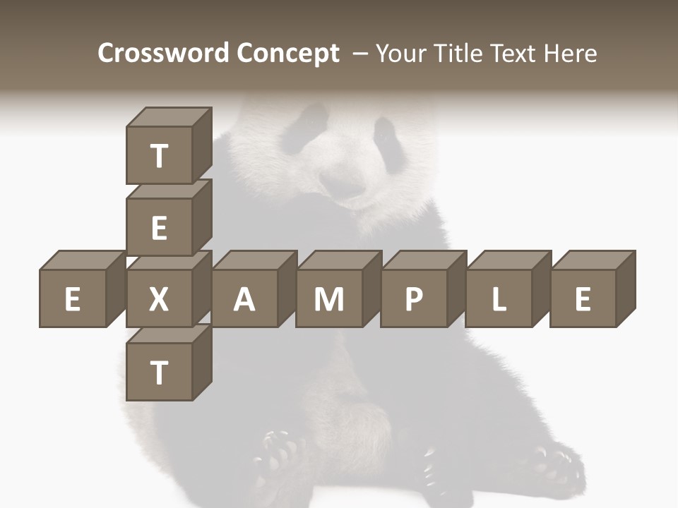 Animal Ursidae Black And White PowerPoint Template