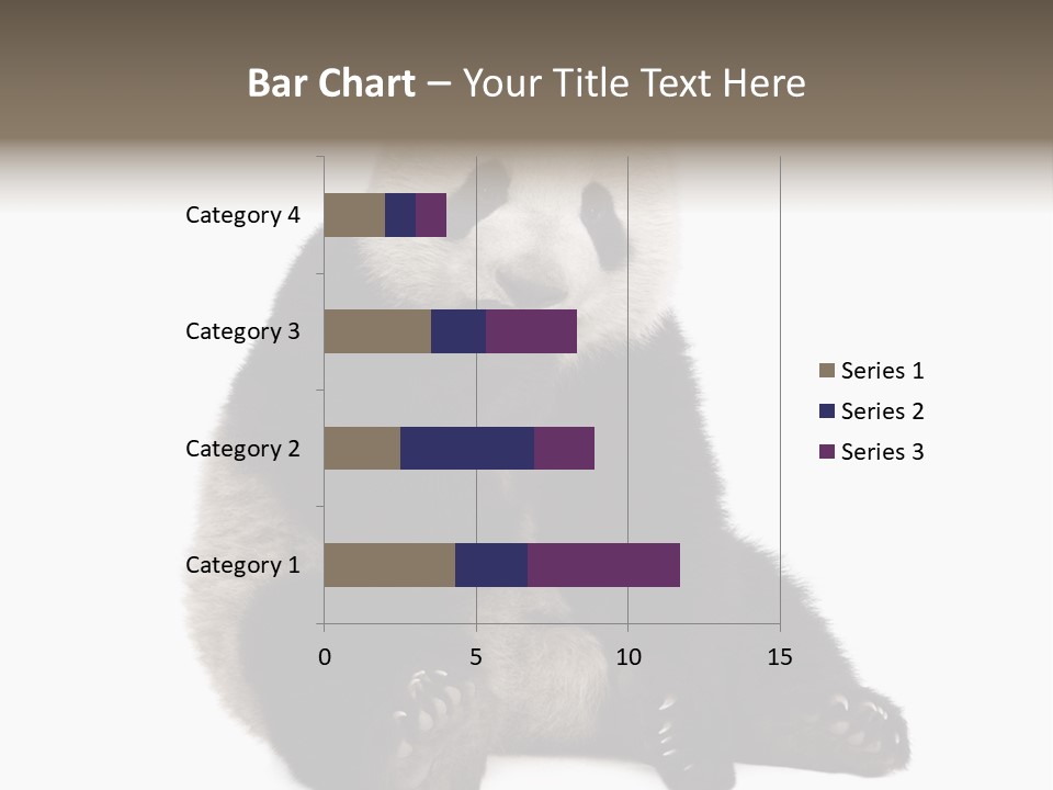 Animal Ursidae Black And White PowerPoint Template