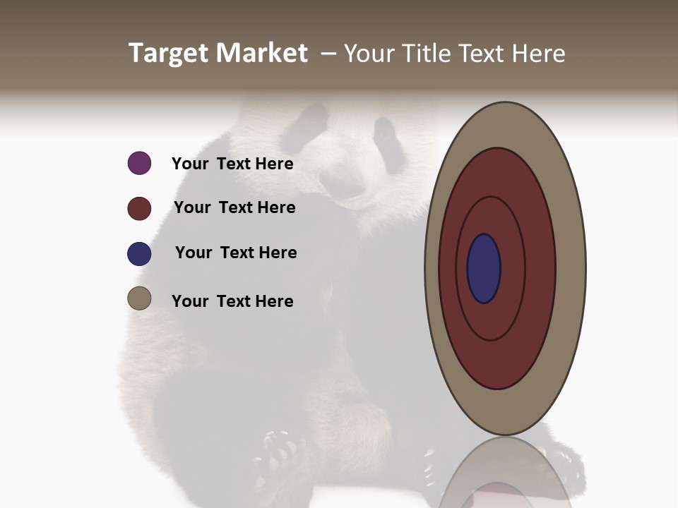 Animal Ursidae Black And White PowerPoint Template