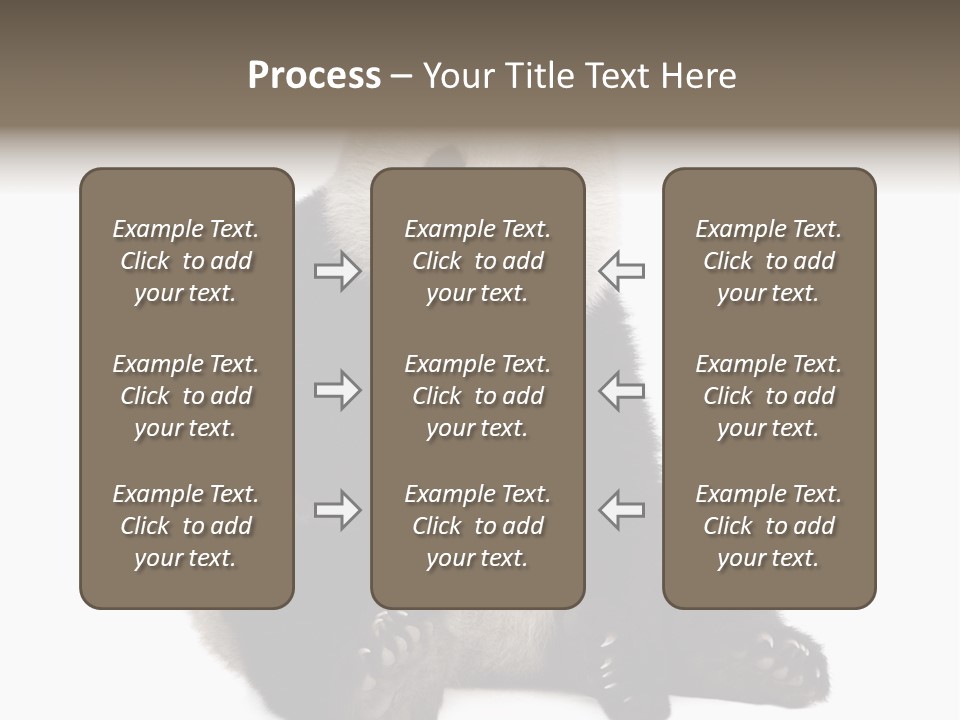 Animal Ursidae Black And White PowerPoint Template